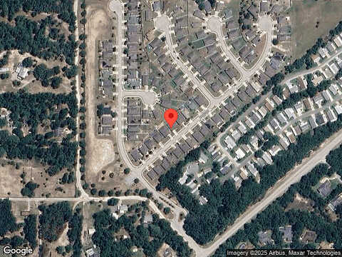 Arborvitae, DELAND, FL 32724
