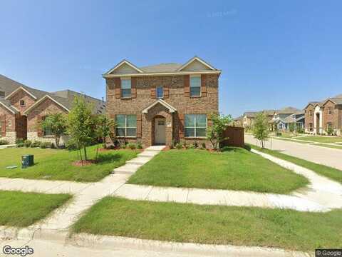 Honey Daisy, CRANDALL, TX 75114