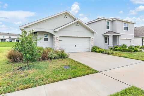 Maple Grove, PLANT CITY, FL 33565