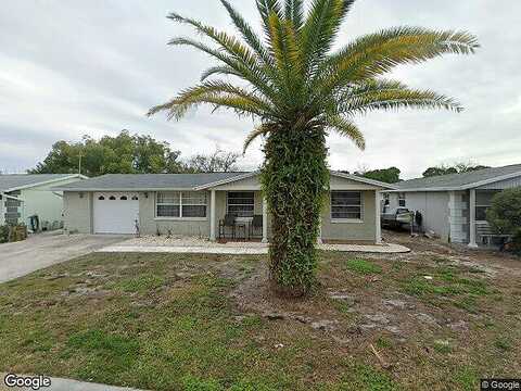Hoover, HOLIDAY, FL 34691