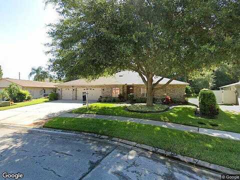 Brian, PALM HARBOR, FL 34685