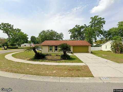King Charles, SEFFNER, FL 33584
