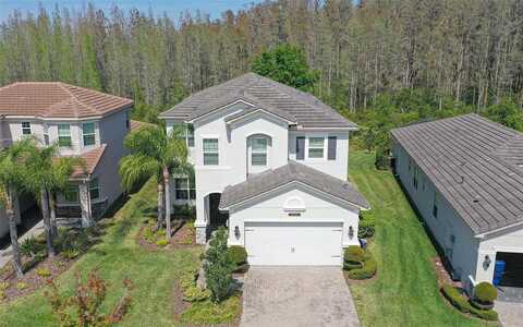 Lindentree, WESLEY CHAPEL, FL 33543