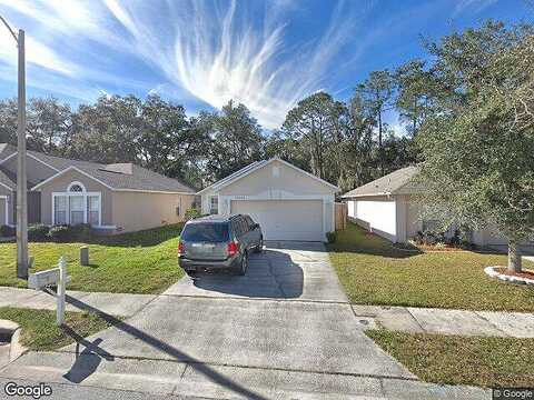 Birdhouse, WESLEY CHAPEL, FL 33545