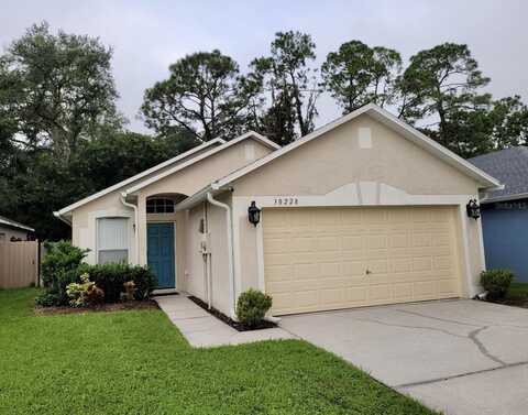 Birdhouse, WESLEY CHAPEL, FL 33545