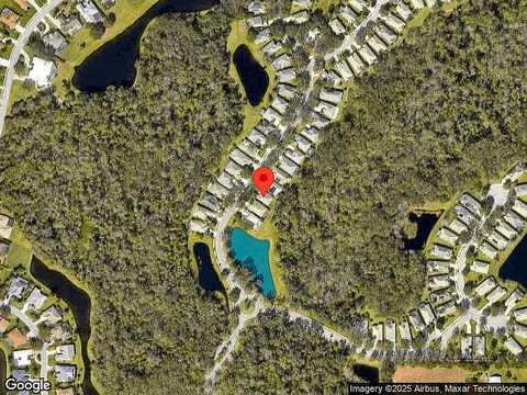 Woodland Fern, PARRISH, FL 34219