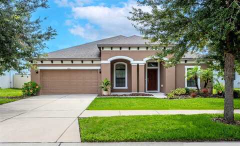 Shetland Ridge, VALRICO, FL 33596