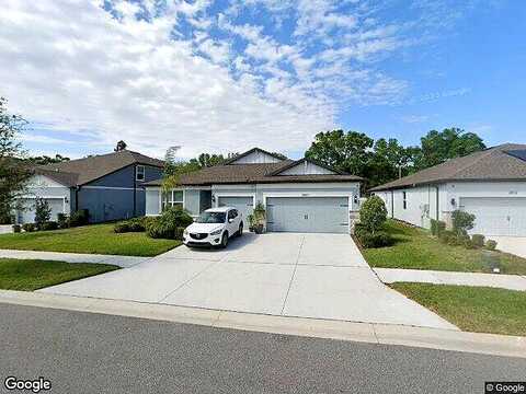 Buckhorn Forest, VALRICO, FL 33594