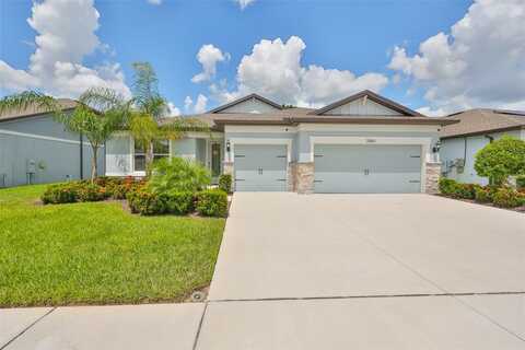 Buckhorn Forest, VALRICO, FL 33594