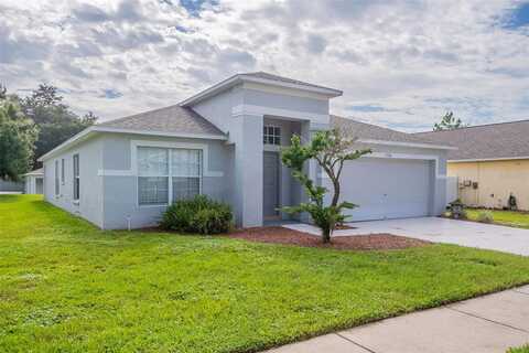Pankaw, VALRICO, FL 33596
