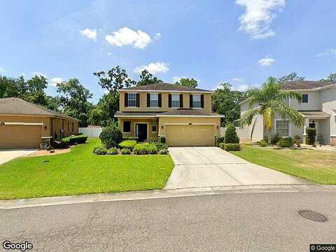 Holly Bluff, PLANT CITY, FL 33566