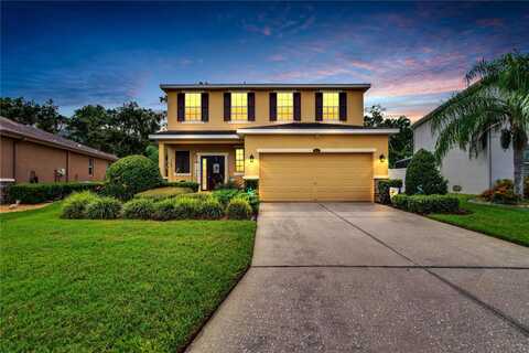 Holly Bluff, PLANT CITY, FL 33566