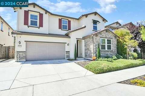 Sespe Creek, BRENTWOOD, CA 94513