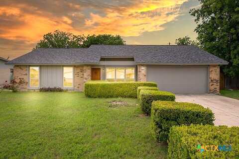 Lily, KILLEEN, TX 76542
