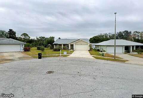 Sweetgum, PALM HARBOR, FL 34684