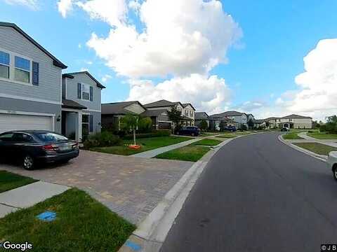 Mossy Pine, TAMPA, FL 33647