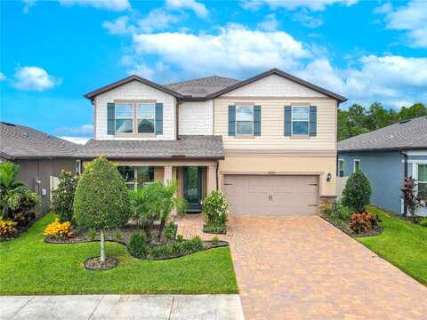Mossy Pine, TAMPA, FL 33647