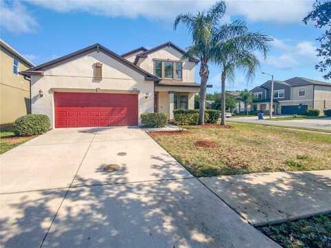 Andrea Lynn, LAND O LAKES, FL 34638