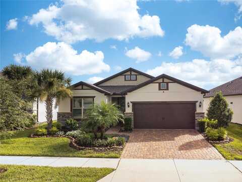 Coastal Shore, LAND O LAKES, FL 34638