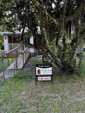Jungle, NEW SMYRNA BEACH, FL 32168