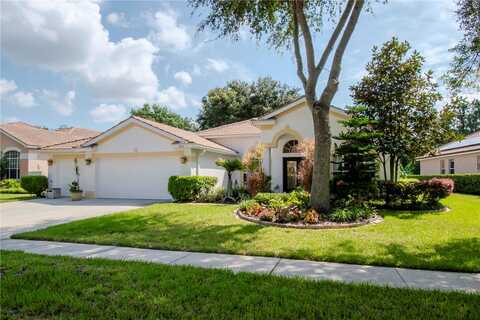 Avalon, TAMPA, FL 33647