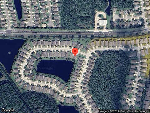 Weeping Elm, PORT ORANGE, FL 32128