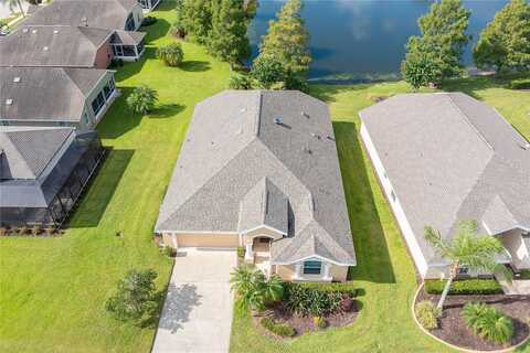 Weeping Elm, PORT ORANGE, FL 32128