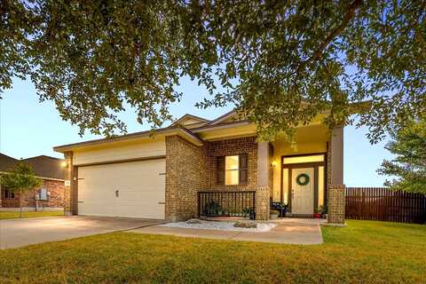 Paint Brush, LOCKHART, TX 78644