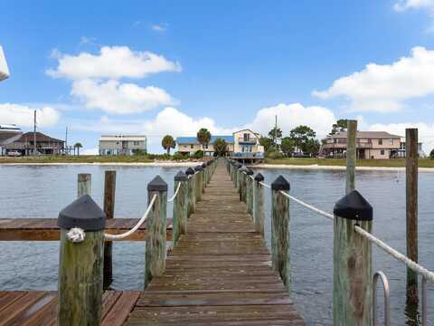 Alligator, PANACEA, FL 32346