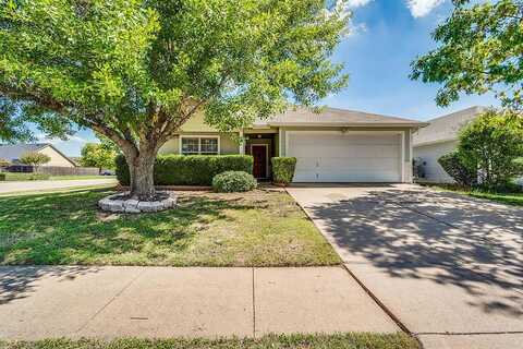 Wildflower, WAXAHACHIE, TX 75165