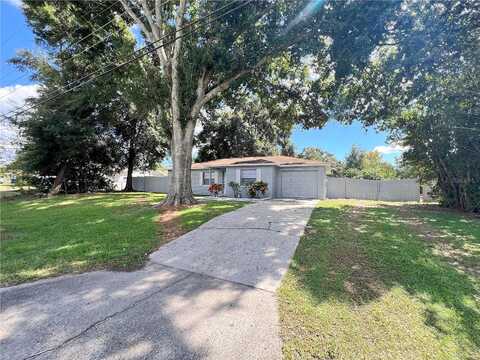 Honey Bee, POLK CITY, FL 33868