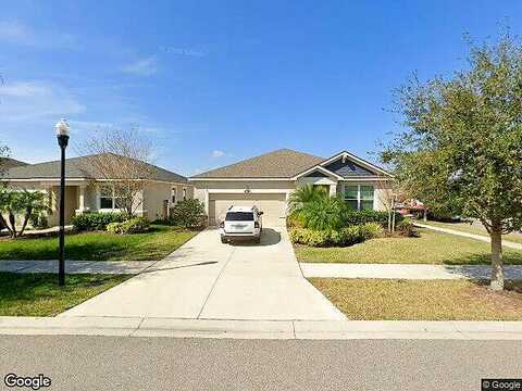 Texas Sage, RIVERVIEW, FL 33579