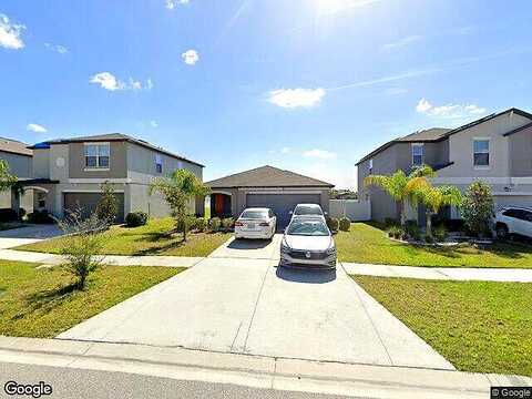Willow Bluestar, RIVERVIEW, FL 33579