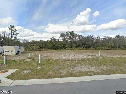 Wildflower Meadow, RIVERVIEW, FL 33579