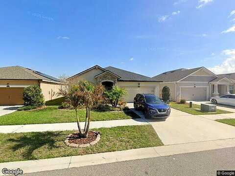 Satin Lily, RIVERVIEW, FL 33579
