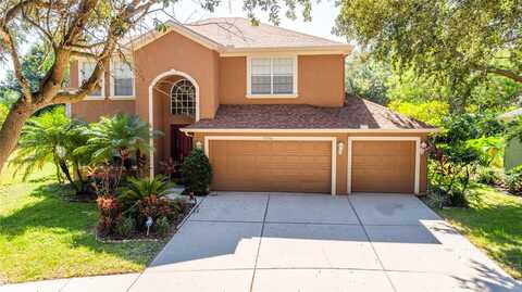 Burgess Hill, RIVERVIEW, FL 33579