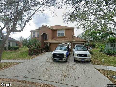 Burgess Hill, RIVERVIEW, FL 33579