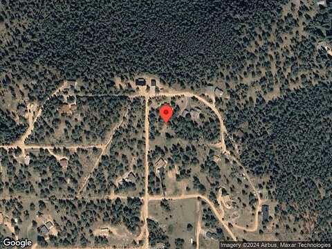Green, PINE, CO 80470