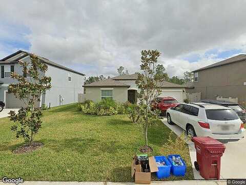 Tahitian Sunrise, PLANT CITY, FL 33565