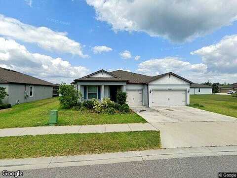 Criollo, SPRING HILL, FL 34610