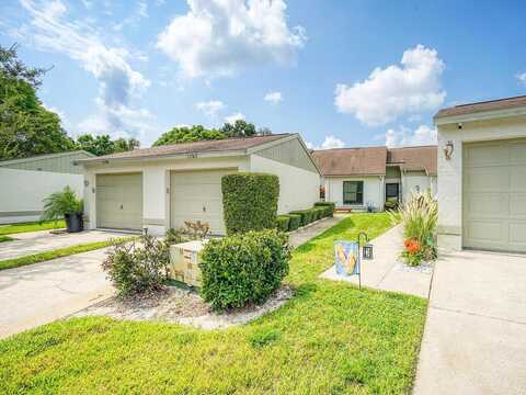 Spring Tree, PORT RICHEY, FL 34668
