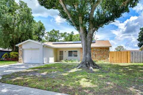 Blackbark, RIVERVIEW, FL 33579