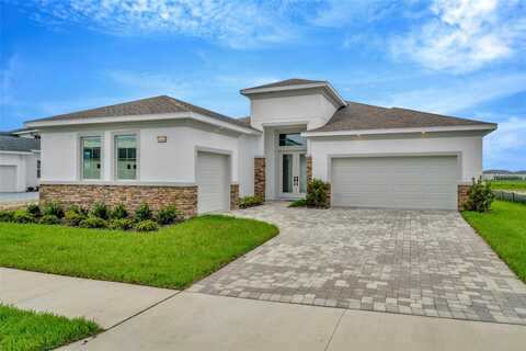 Torchwood Sea, SAN ANTONIO, FL 33576