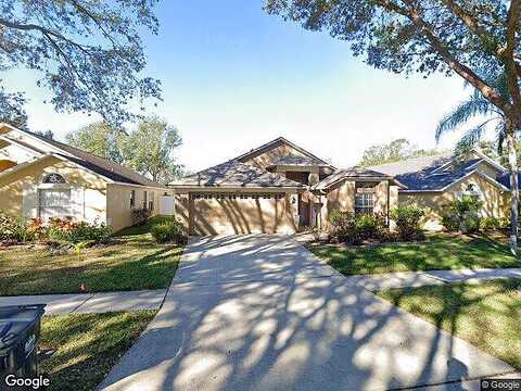 Somersby, RIVERVIEW, FL 33578