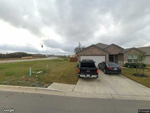 Armadillo, SEGUIN, TX 78155