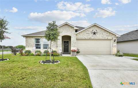 Armadillo, SEGUIN, TX 78155