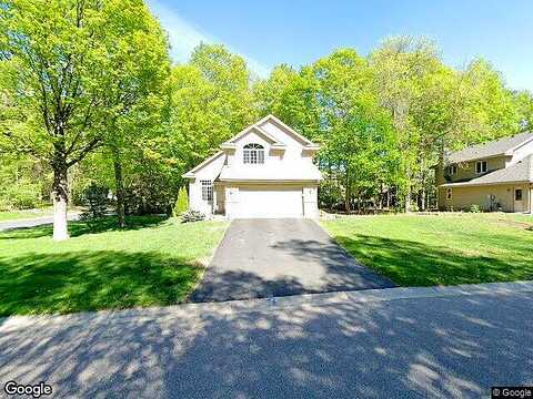 Narcissus, VICTORIA, MN 55386