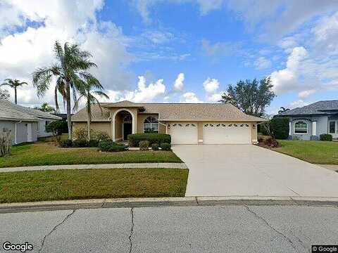 Cardenal, SUN CITY CENTER, FL 33573
