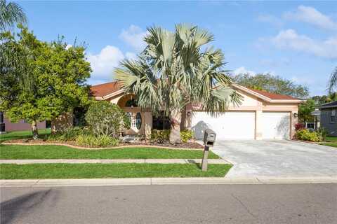 Saddlewood, PALM HARBOR, FL 34685