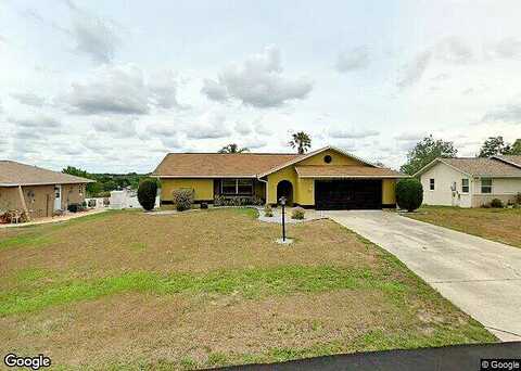 Staggerbush, BEVERLY HILLS, FL 34465